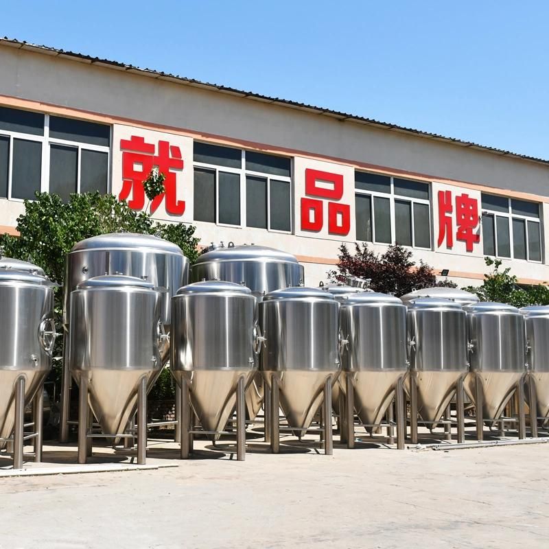 600L Beer Brewing Fermenter for Micro Brewery Use