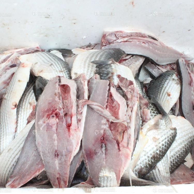 Fish Cutting Machine, Fish Fillet Machine, Fish Filleting