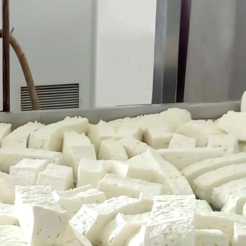 Ricotta Cheese Making Machine Mozzarella Cooker Stretcher