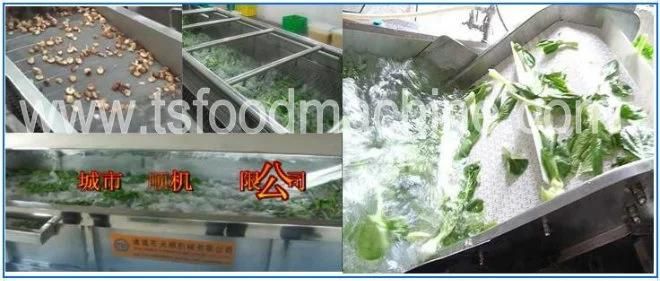 Factory Price Bean Sprout Bubble Washer and Washing Machine