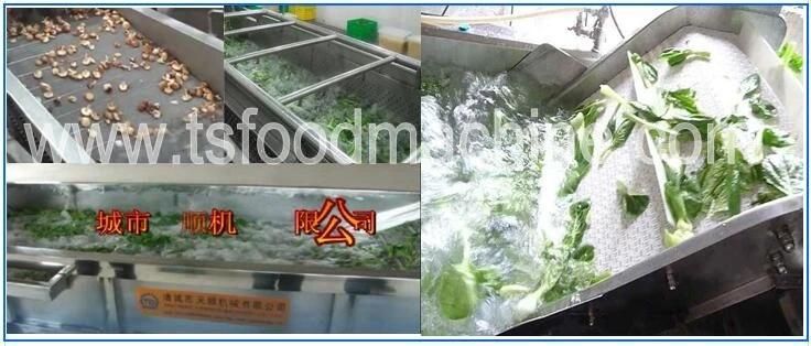 Automatic Continuous Conveyor Red Chilli and Pepper Washing Machine