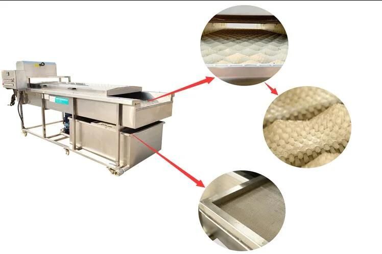 Brush Fruits Washing Cleaning Machinery Automatic Apple Washer Machine