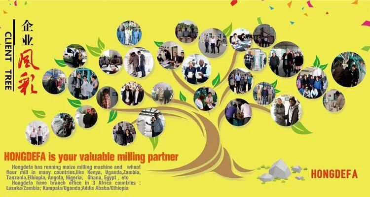 100t/24h Best Price Maize Milling Machine