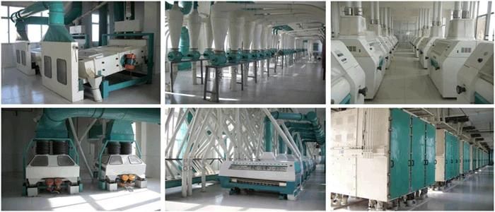 Automatic 150tpd Wheat Flour Milling Machinery