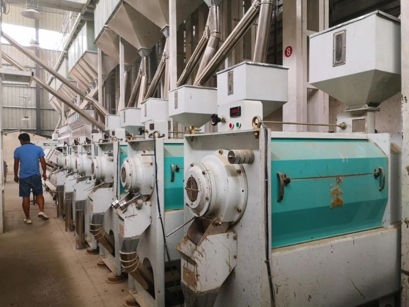 Clj Turnkey Rice Milling Complete Set for Rice Processing Machine