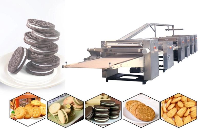 Skywin Hot Selling New Rotary Molder Soft Biscuit Making Machine Stainless Steel with Factory Price