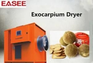 Energy Saving No-Pollution Exocarplum Dryer Integral Fruit Drying Machine