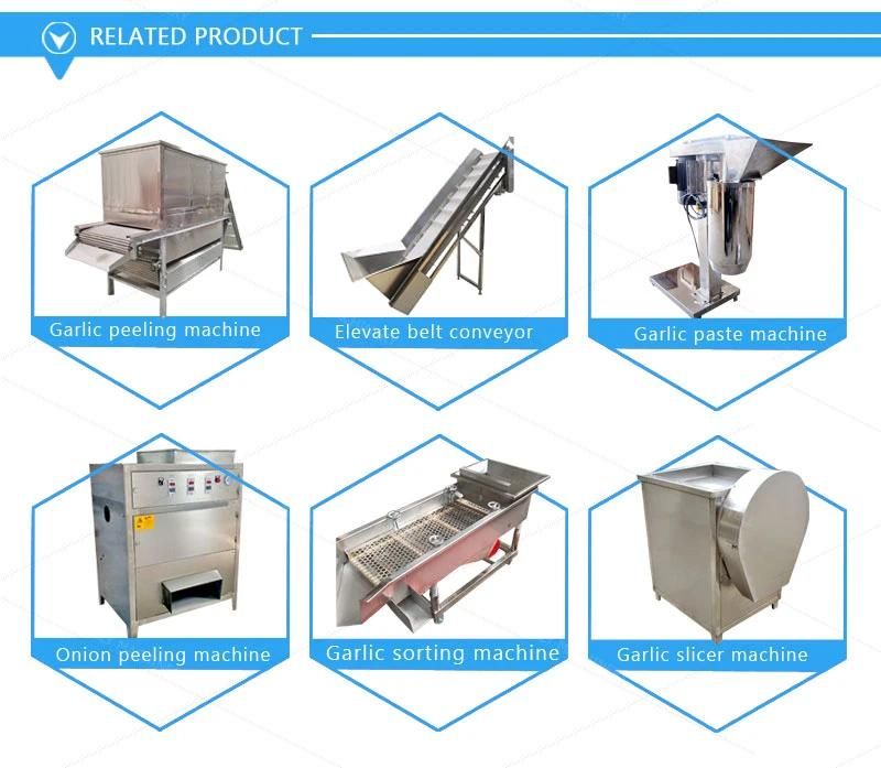 High Quality Garlic Splitter Machine Garlic Separating Machine for Small Business (WYSF-1000)