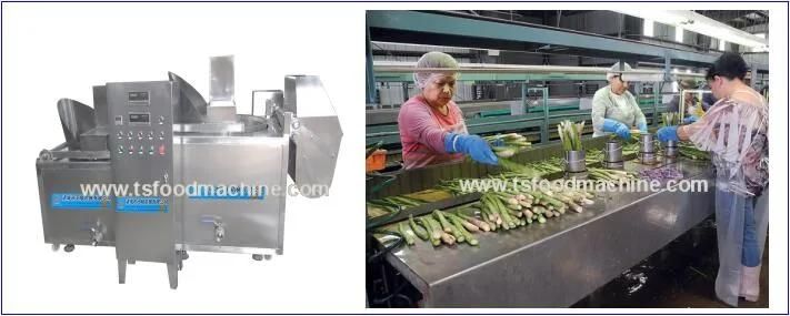 Restaurant Vegetable Blanching Machine Asparagus Blanching Machine
