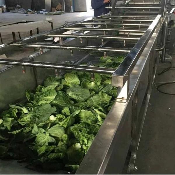 Leafy Vegetable Washing and Drying Line 3meter Spinach Cleaning Machine