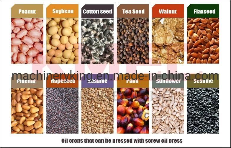 Sesame Peanut Coconut Soybean Olive Small Auto Oil Press Machine