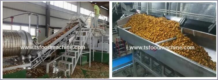 Jicama /Bangkuang Washing Machine and Peeling Machine