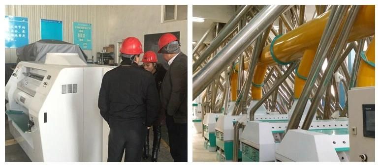 50t /24h Wheat Milling Machine, Which Can Make The Flour to Produce All Kinds of Food, Like Bread, Cake, Biscuit, Pastas
