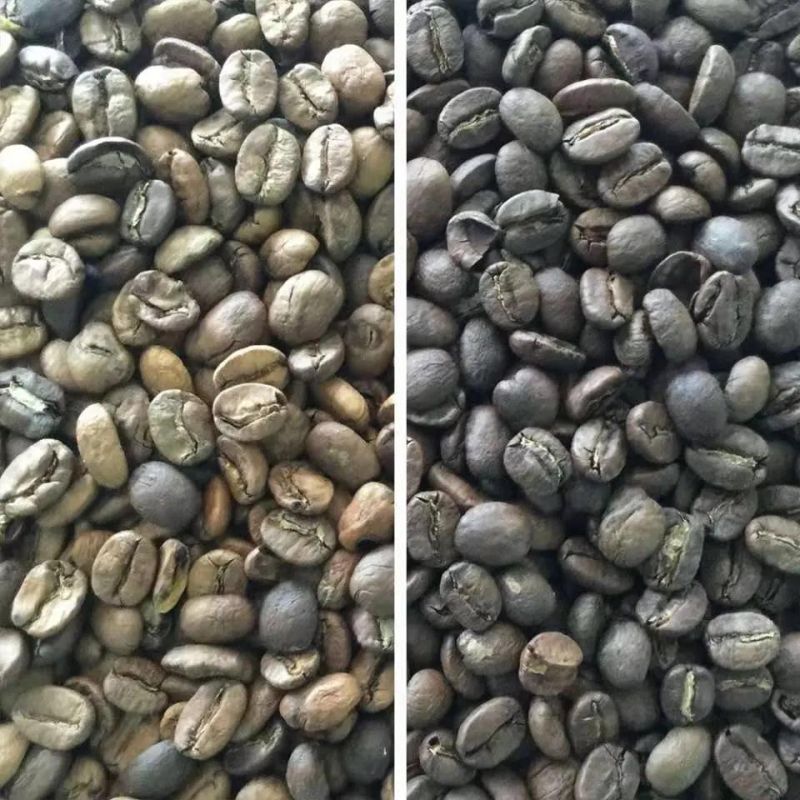 Food Processing Equipment Chutes Type Bean Color Sorting Machine Coffee Bean Color Sorter