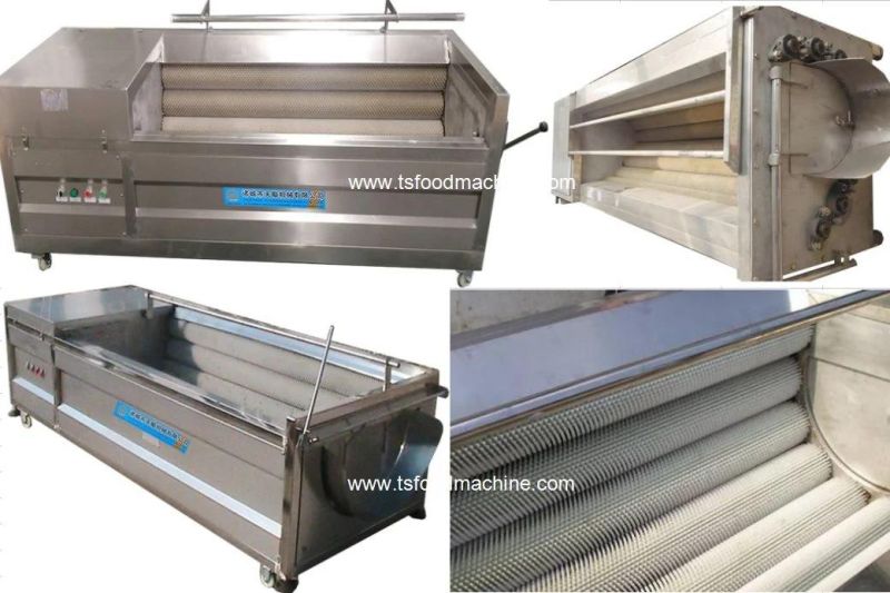 Vegetable Roller Brush Washing Peeling Machinery Potato Carrot Washing Machine