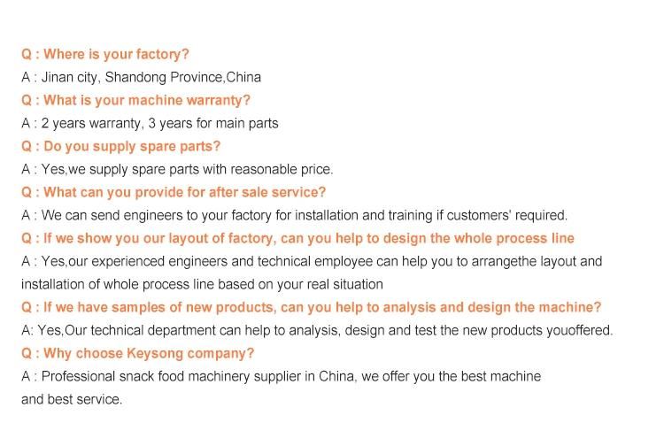 Food Twin Screw Extruder for Puffed Snacks with Long After Sale Service