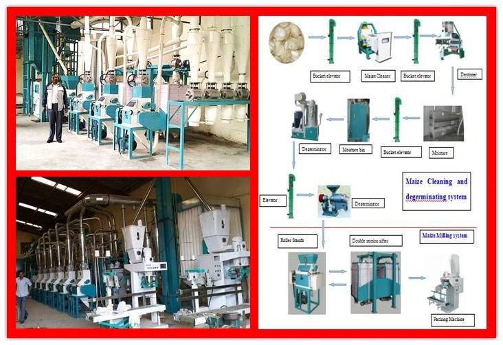 10t 20t 30t 50t 100t 200t 500t Maize Mill Wheat Flour Mill Machine