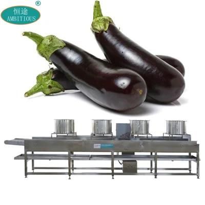 Cold Air Drying Machine Belt Type Vegetable Dryer