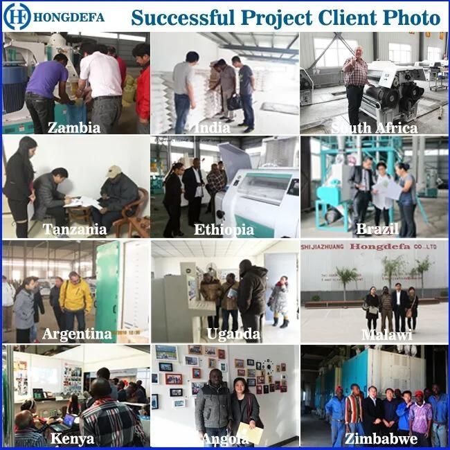 Corn Flour Milling Machine Processing Corn Grits Corn Flour Corn Meal