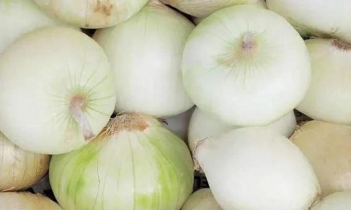 Vegetable Wash System PLC Bubble Belt Washer Onion Washing Machine