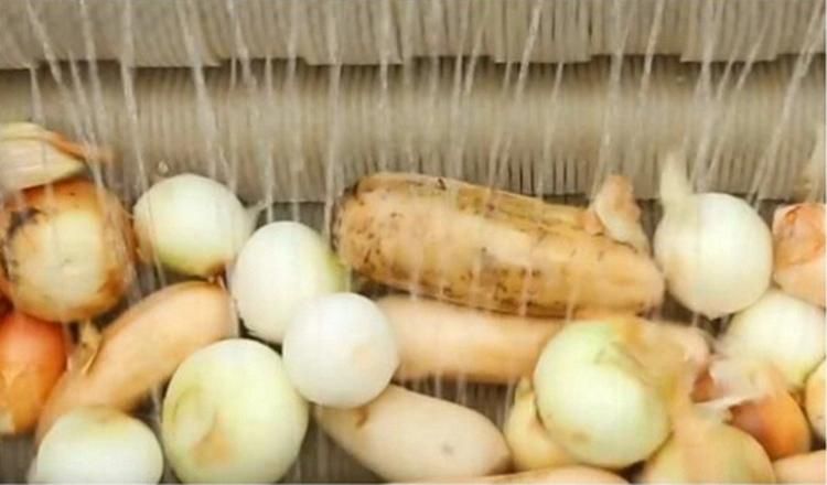 Stainless Steel Apple/Pear/Mango/Fruit/Vegetable Washing Processing Machine