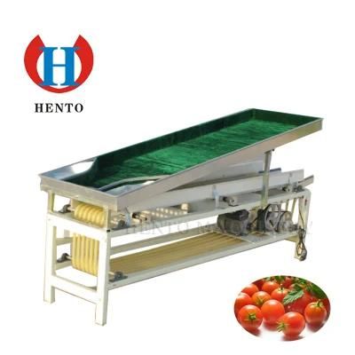 More Accurate Egg or Tomato Sorting Machine
