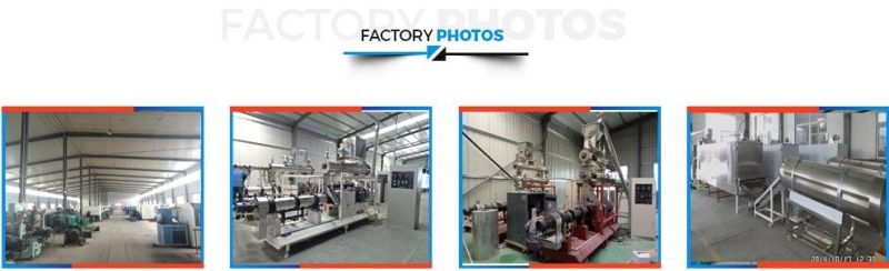 Core Filling Snack Food /Processing Line/Making Machine