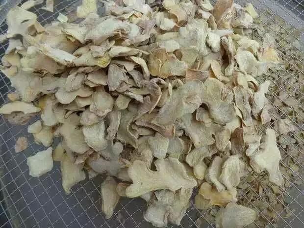 Industrial Hot Air Tray Dryer Drying Machine Automatic Ginger Drying Machine