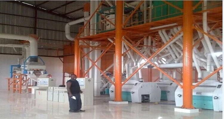 5-500t Maize Flour Milling Machine Making Africa Maize Staple Food
