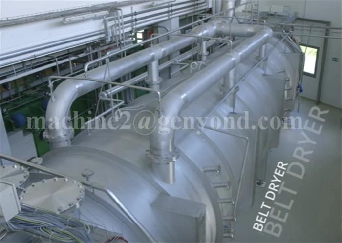 Complete Pure Apple Powder Production Line