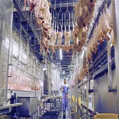 Good Market Chicken Duck Turkey Slaughter Processing Line Poultry Slaughter House ...