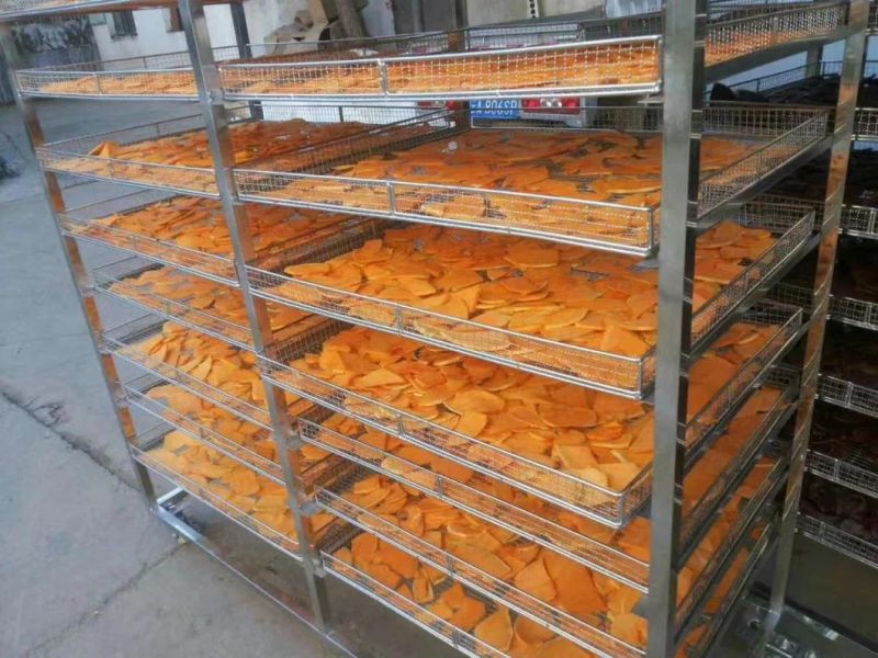 Food Dehydrator Machines Dryers Industrial Pumpkins Drying Machine Pumpkin Dryer