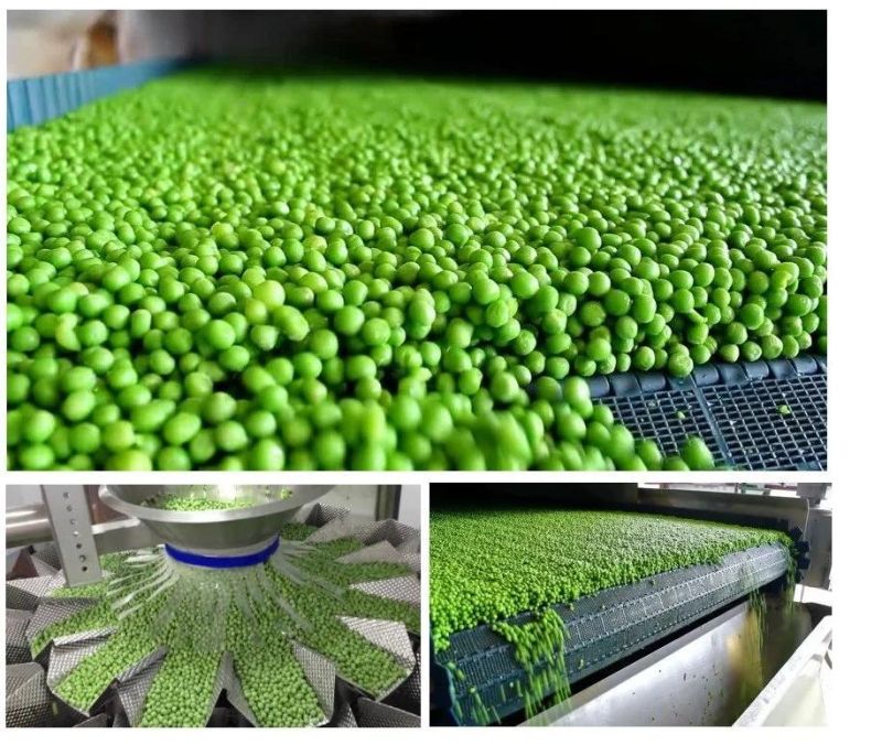 Dry Beans, Peas, Kidney Beans Canned Food Line Cooking Machine