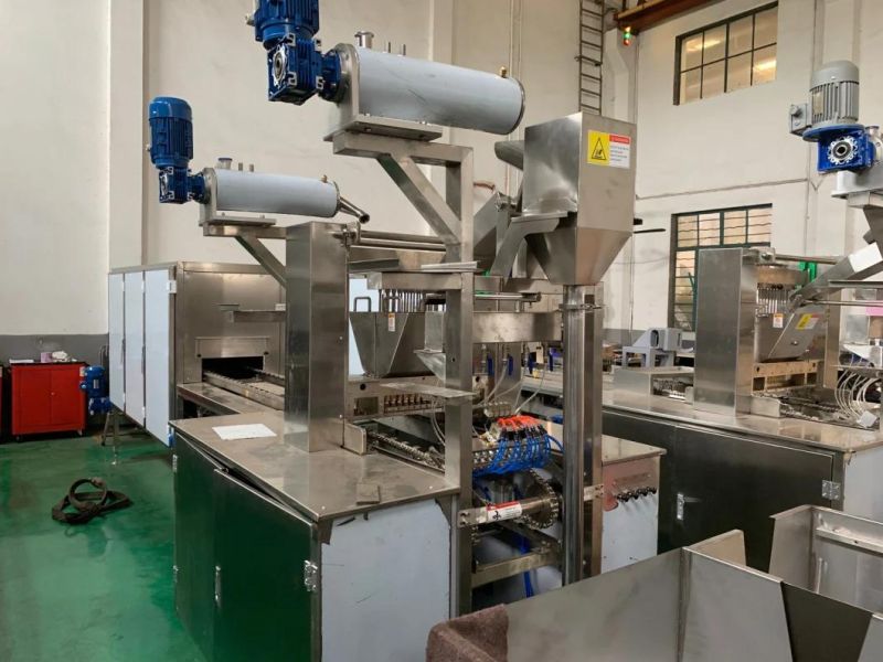 Popular in USA Gummies Making Line 2 Colour Filling Candy Machine
