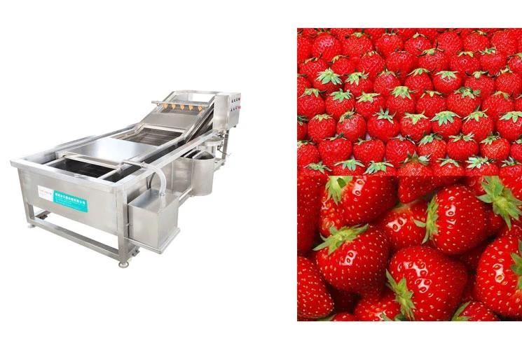 Water Jet Okra Bubble Washing Machinery Strawberry Bubble Washing Machine