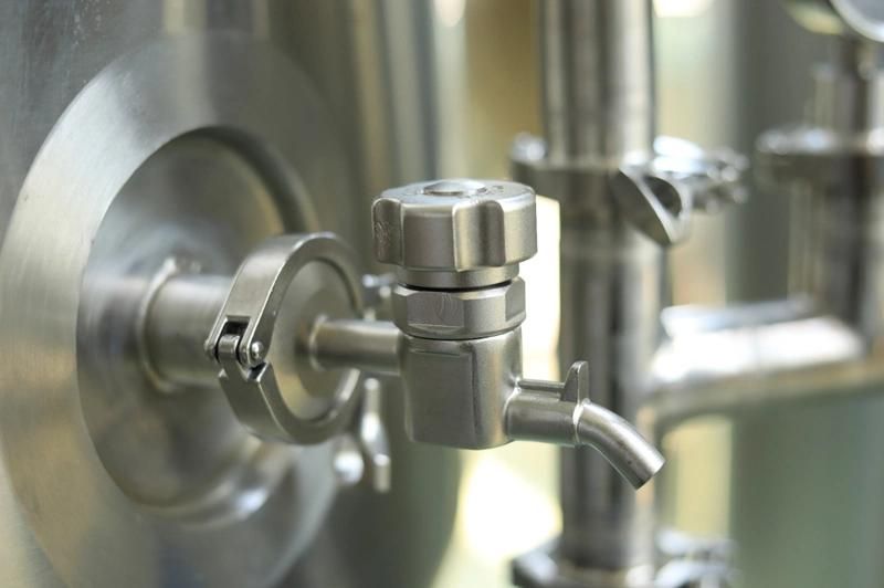 Cassman 500L Stainless Steel Micro Beer Brewing Brewery Equipment for Restaurant