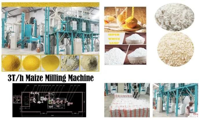 Sifted Maize Flour Maize Mill Equipment for Africa