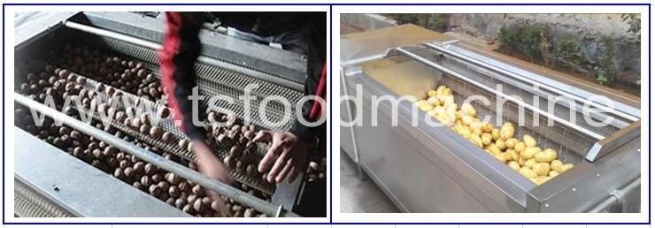 Brush Type Peanut Washing Machine and Walnut Washer Machine
