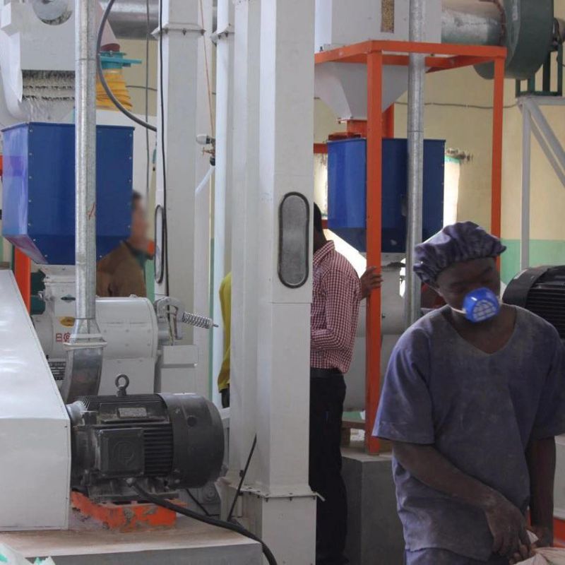 30t Maize Meal Flour Grits Grinding Machines