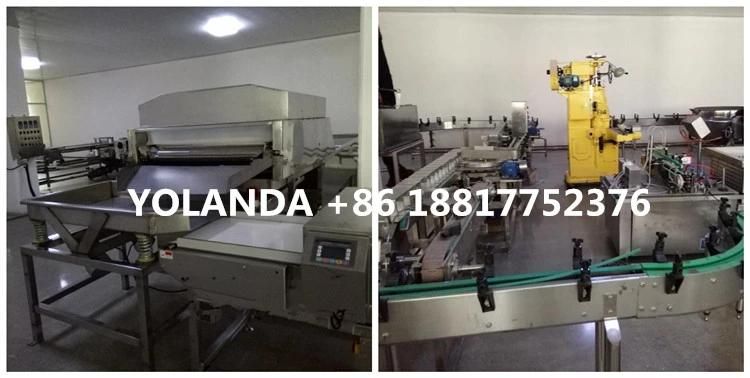 Complete Automatic Fish in Oil Process Plant
