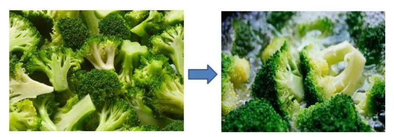 Broccoli Blanching Machine Broccoli Cooking Machine