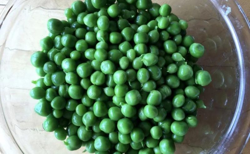 Conveyor Belt Blanching Machinery Continuous Pea Blanching Machine