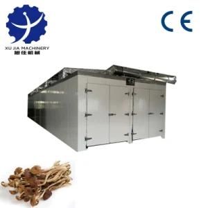 New Edible Fungus Agrocybe Aegerita Air Energy Heat Pump Dryer