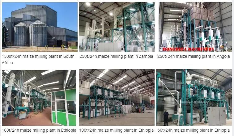 Small Capacity Maize Milling Plant Price 30t/24h Maize Flour Milling Line