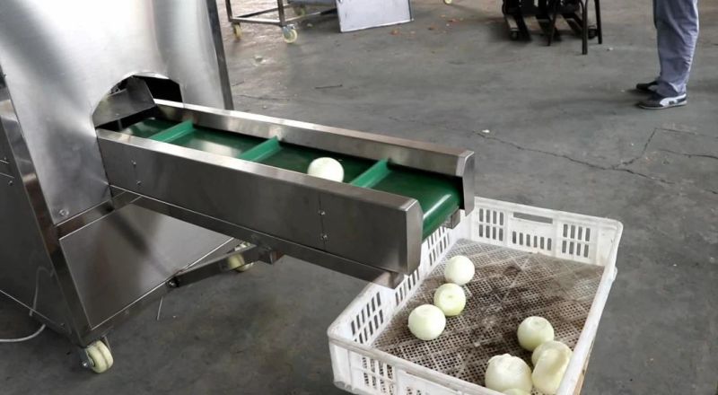 Stainless Steel 500kg/ H Onion Peeler Peeling and Root Cutting Machine