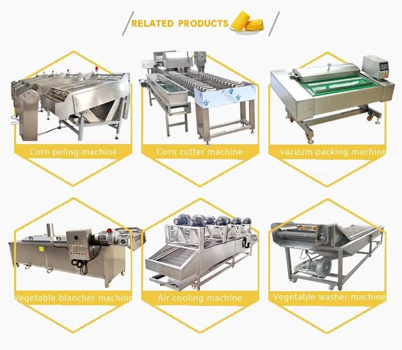 Hot Product Multi-Function Corn Peeling Machine Fresh Corns Processing Line