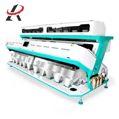 Black Kidney Beans Color Sorter