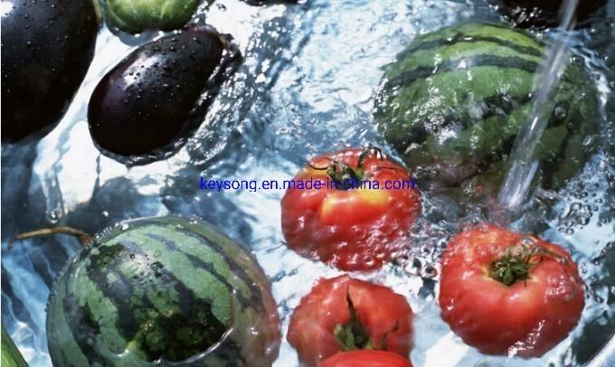Full Automatic Factory Price Fruits Vegetables Air Bubble Washer