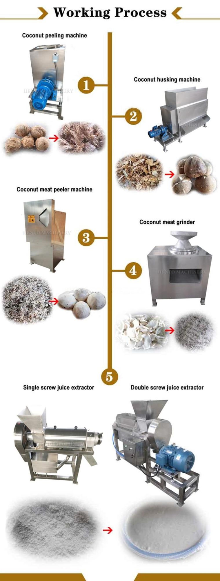 Industrial Coconut Sheller Machine / Coconut Milk Extracting Machine
