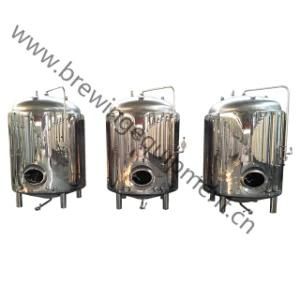 Beer Plant Brewing System Bright Beer Tank